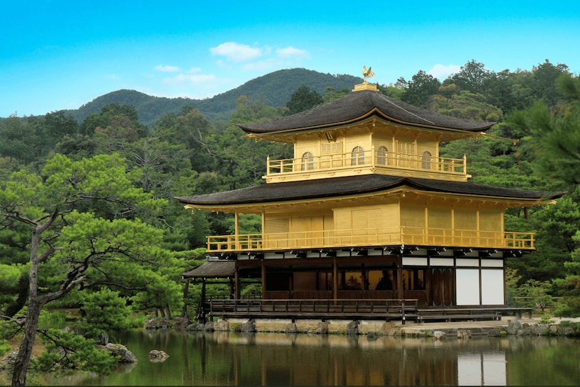 Picture 11 for Activity From Osaka/Kyoto: Kyoto and Nara 1-Day Bus Tour