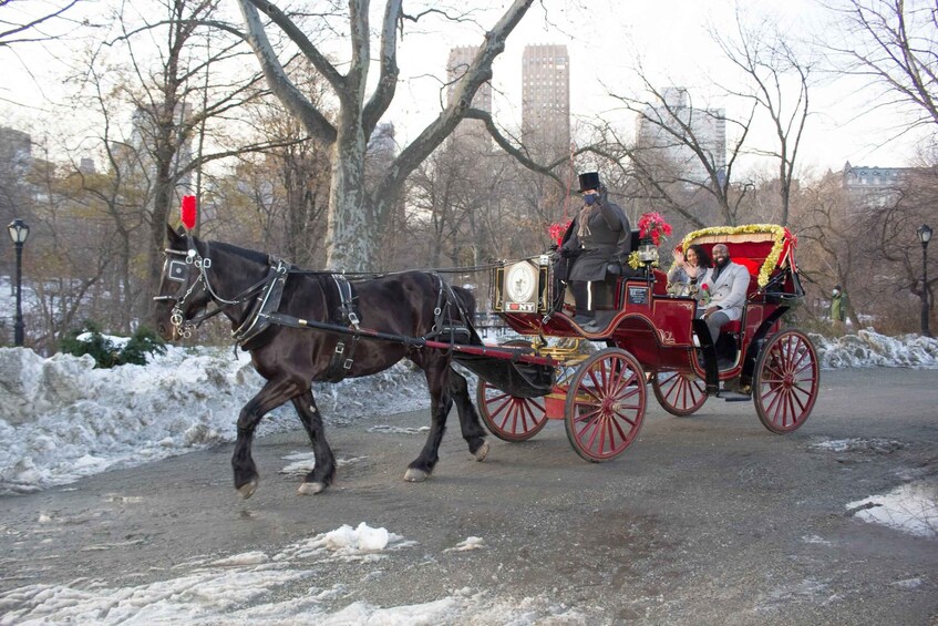 New York Central Park HorseDrawn Carriage Ride with Photos