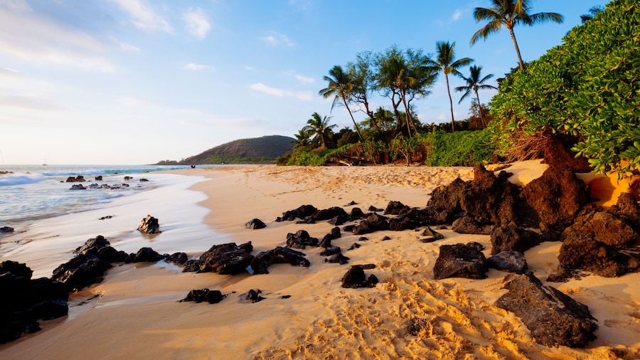 Maui Beach Parks Self-Guided Driving Tour