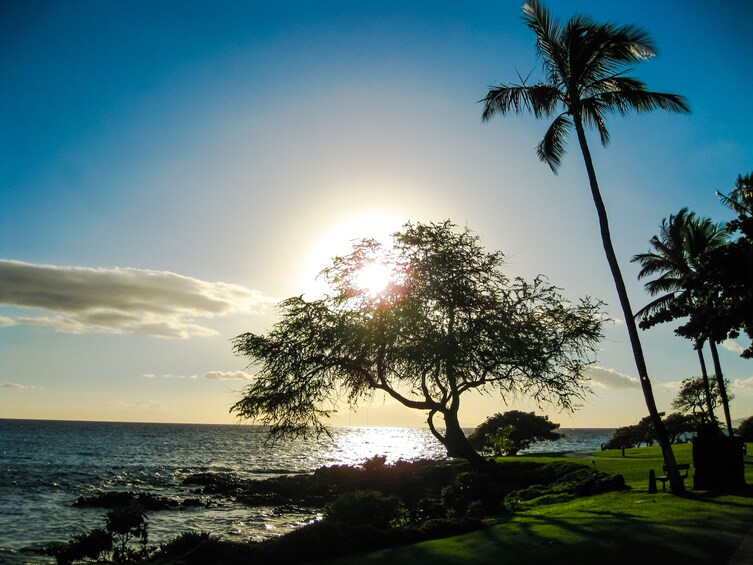 Maui Beach Parks Self-Guided Driving Tour