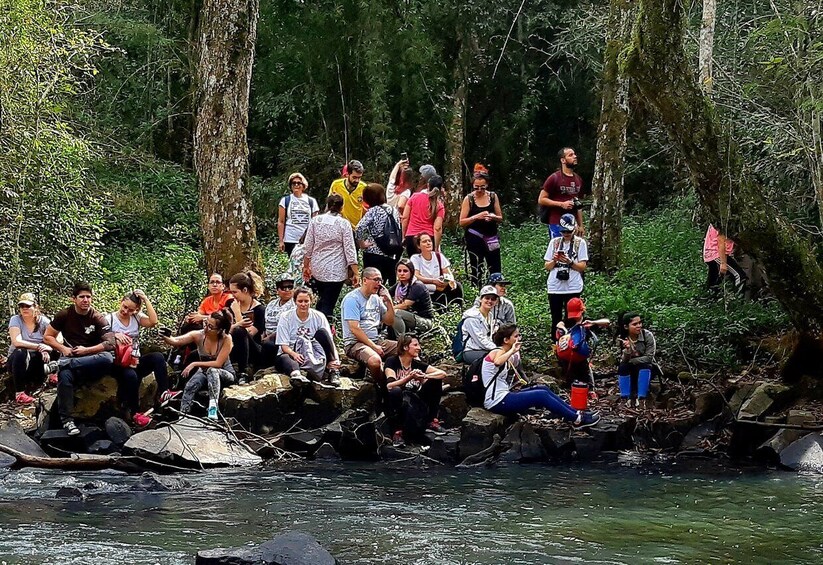 Picture 4 for Activity From Puerto Iguazu: Secret Falls Adventure