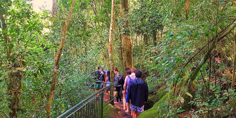 Picture 5 for Activity From Puerto Iguazu: Brazilian Falls with Boat Adventure