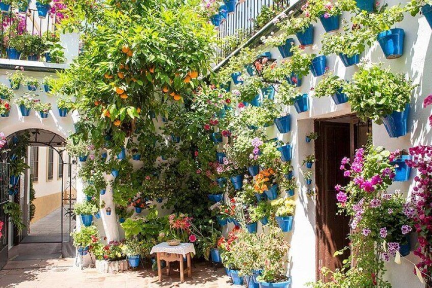 From Malaga: Private 3 Daily Tours to Cordoba, Granada and Seville