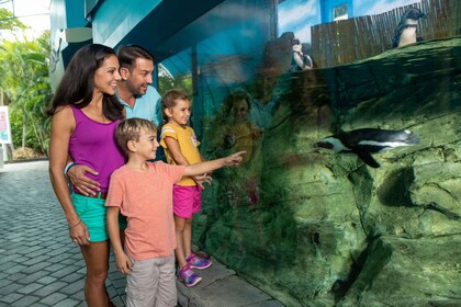 Miami: The Miami Seaquarium Park Admission Ticket