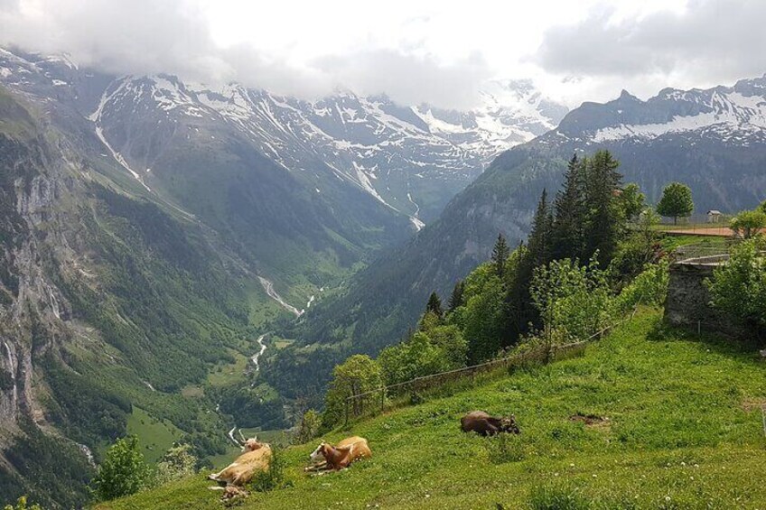 Lauterbrunnen Valley and Mürren Alpine Village small group tour