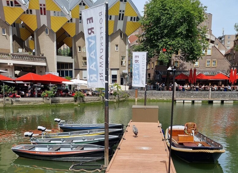 Picture 8 for Activity Rotterdam: City Center Electric Boat Rental