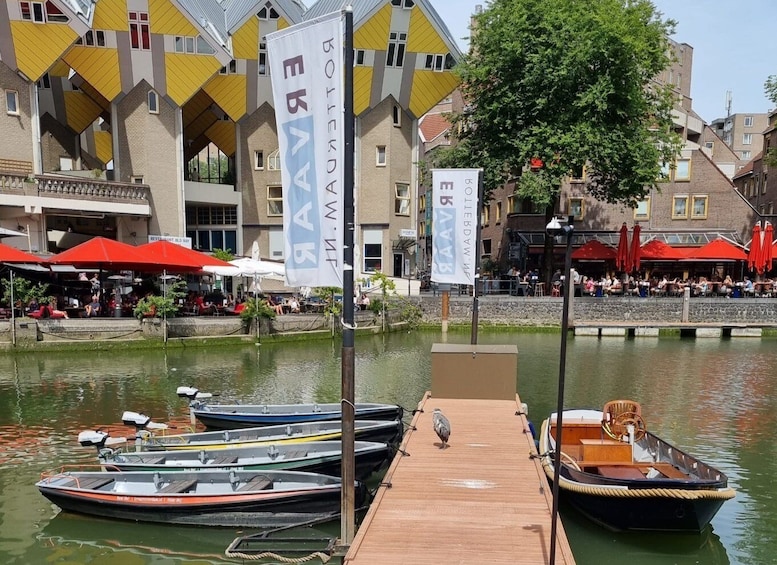 Picture 8 for Activity Rotterdam: City Center Electric Boat Rental