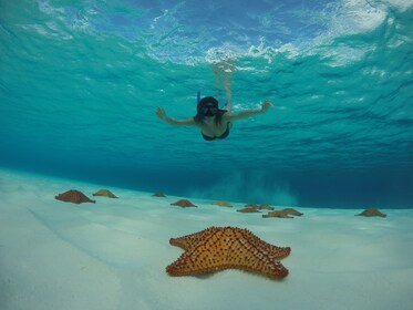 Cozumel Catamaran & Snorkel Tour: Palancar Reef & El Cielo Bay with Lunch