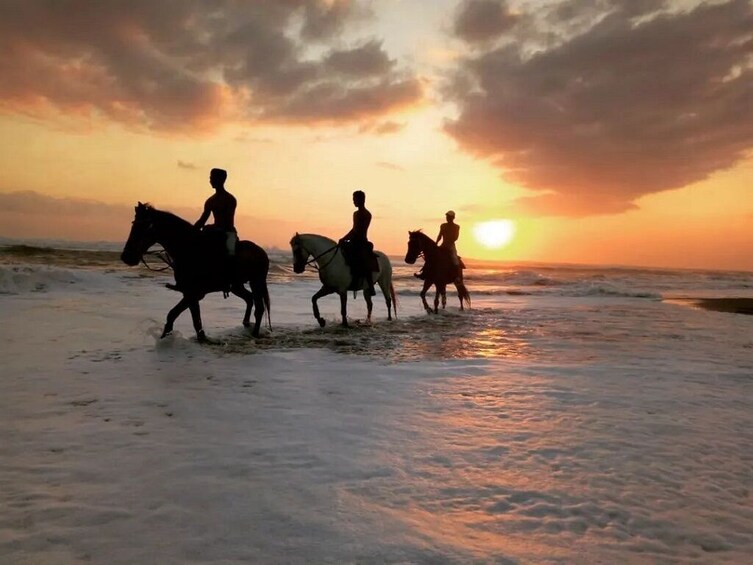 Horse Riding Experience in Bali