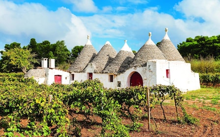 Excursión a los secretos de Alberobello desde el centro de Puglia