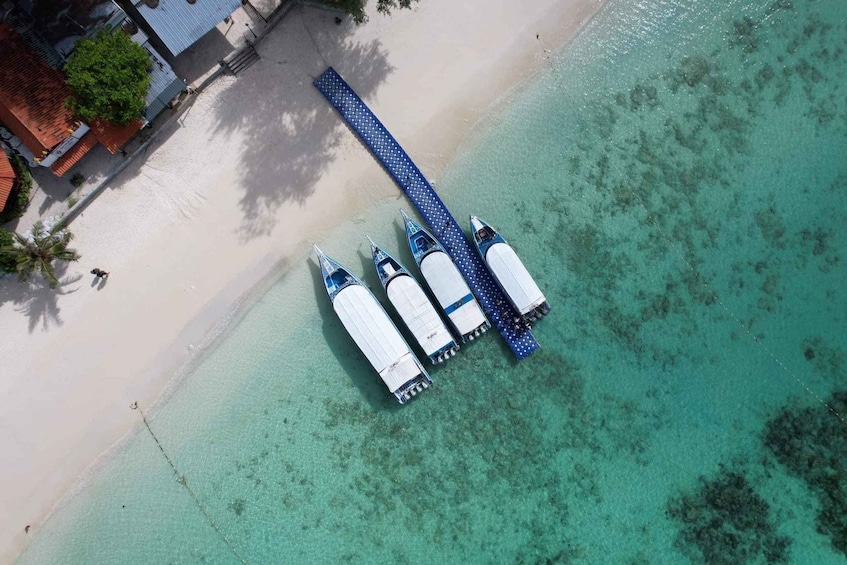 Speed Boat Transfer to Koh Lanta/ Koh Lipe