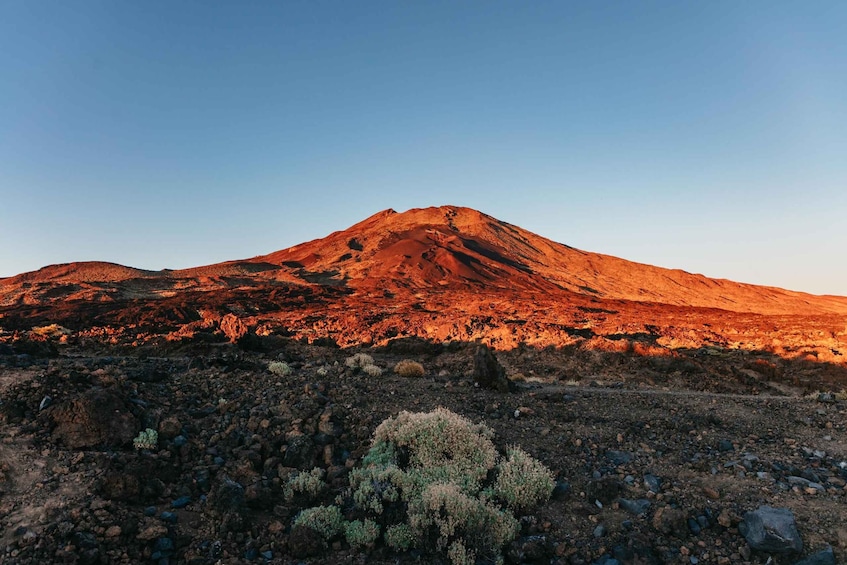 Picture 2 for Activity Tenerife: Mount Teide Sunset and Night Tour with Pickup