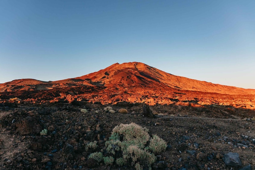 Picture 9 for Activity Teide: Sunset and Night Tour with Stargazing and Pickup