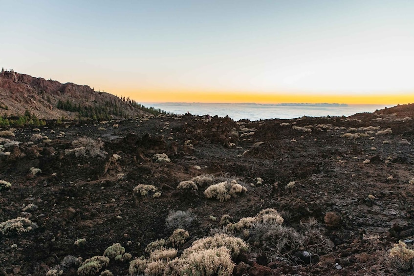 Picture 6 for Activity Tenerife: Mount Teide Sunset and Night Tour with Pickup