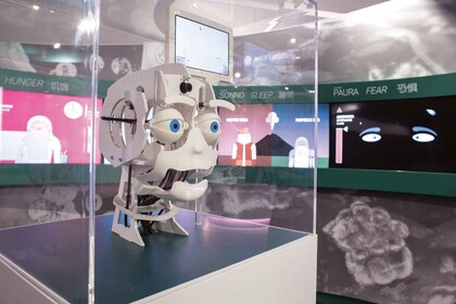 那不勒斯：科學城互動博物館門票門票