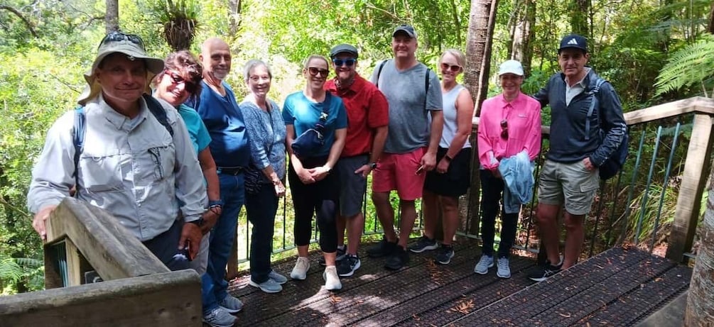 Picture 6 for Activity Waitangi: Kawiti Glow Worm Cave & Opua Kauri Forest Walk