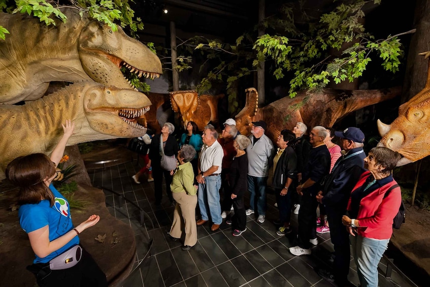 Picture 11 for Activity Ottawa: Canadian Museum of Nature Admission