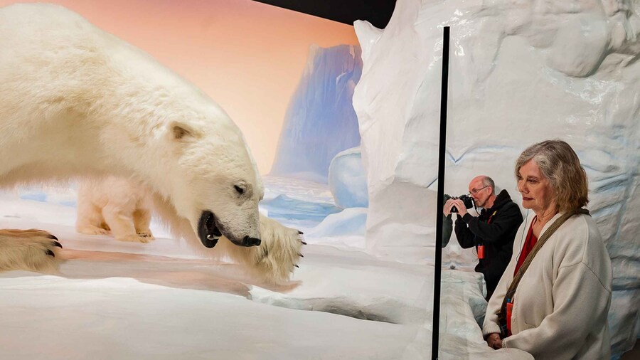 Ottawa: Canadian Museum of Nature Admission