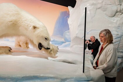 Ottawa: Kanadisches Museum für Natur Eintritt