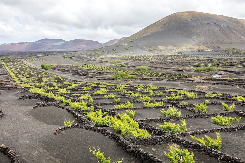 Lanzarote Volcanoes Tour departing from Fuerteventura