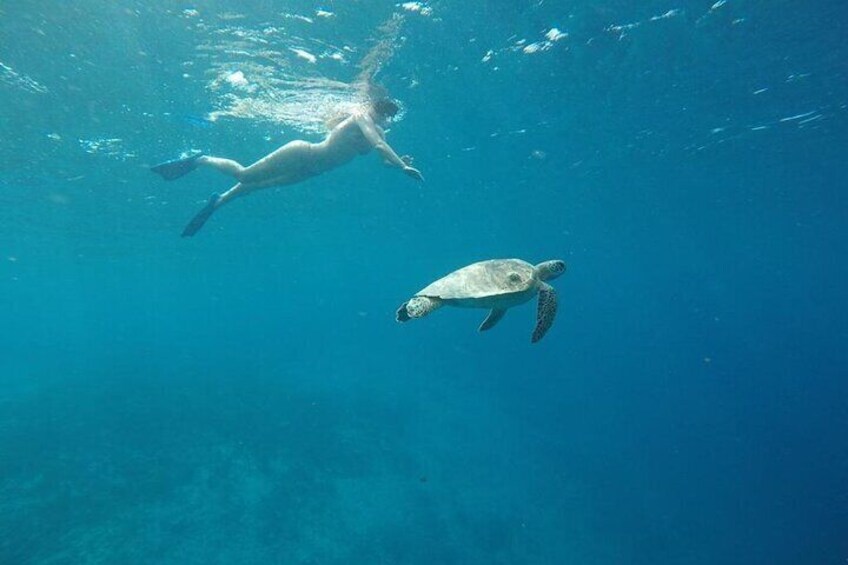 Half-Day Private Guided Snorkeling Trip By Glass Bottom Boat