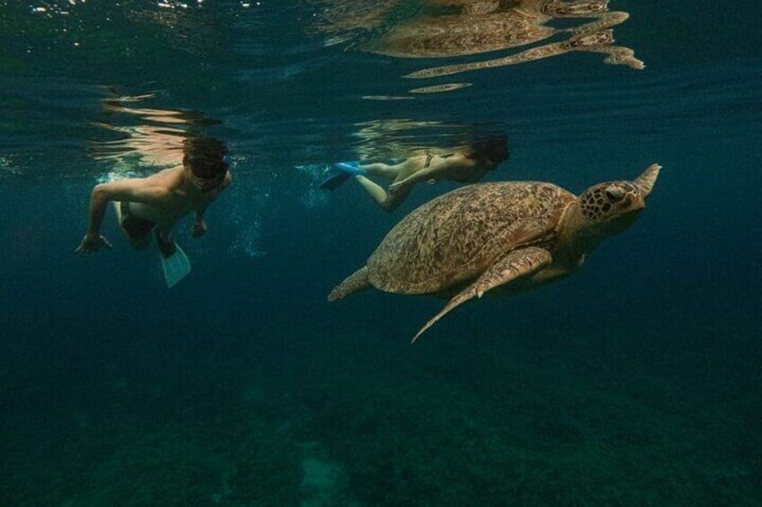 Half-Day Private Guided Snorkeling Trip By Glass Bottom Boat