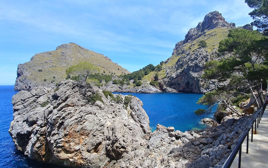 Majorca Island Full Day Tour