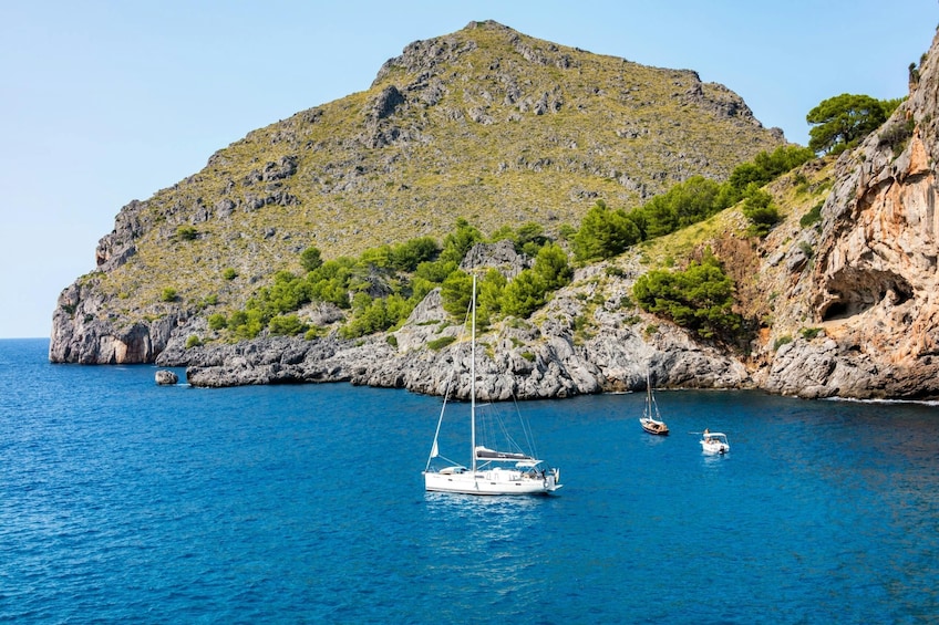 Majorca Island Full Day Tour
