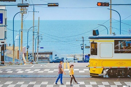 Heldagstur Unmissable saker att göra i Busan