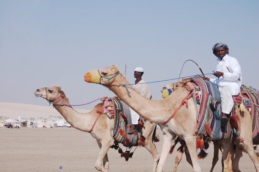 Doha Desert Safari with Inland Sea visit 