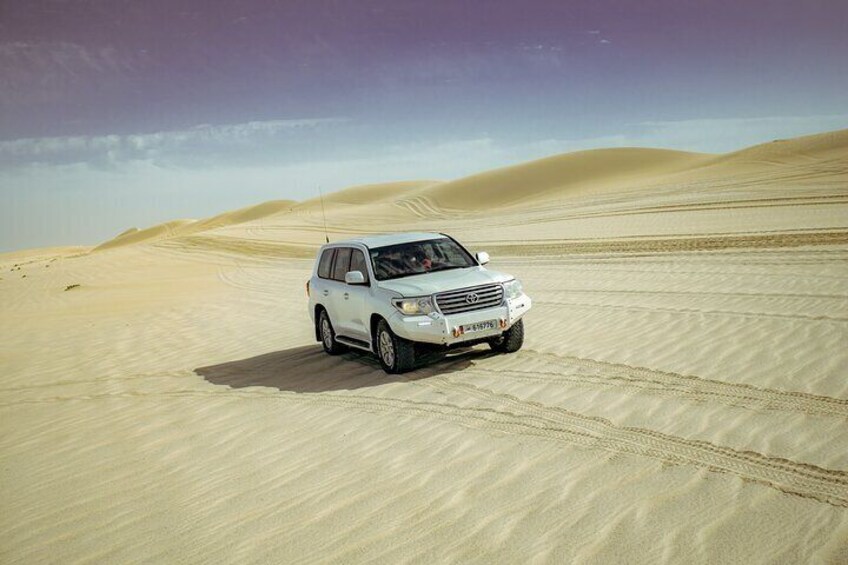 Desert safari with Free Camel ride & Falcon Photo Snap