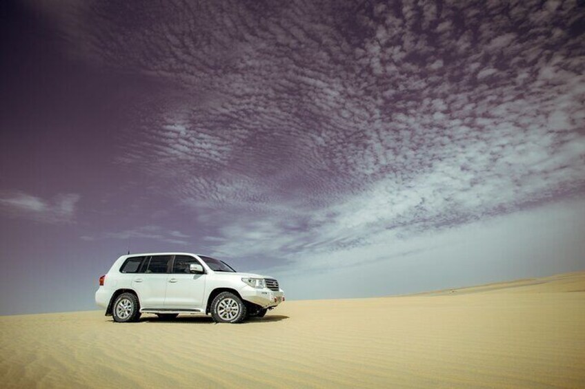 Desert safari with Free Camel ride & Falcon Photo Snap