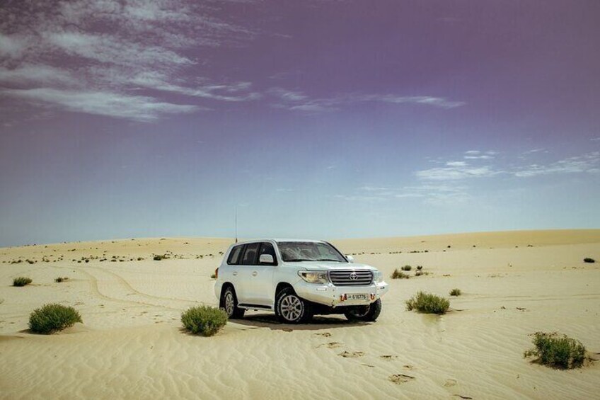 Desert safari with Free Camel ride & Falcon Photo Snap
