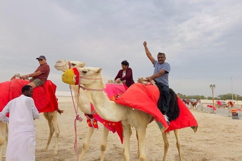 Desert safari with Free Camel ride & Falcon Photo Snap