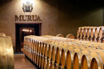 Excursion to Las Bodegas Murua and Most Beautiful Villages in Spain