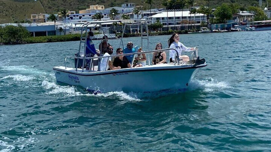 Puerto Rico: Bio Bay Swim and Sunset Charter or Late night tour