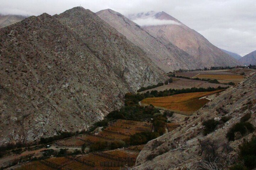 Prelude to the Paradise of the amphorae to make the sweetest wines in the Andean world