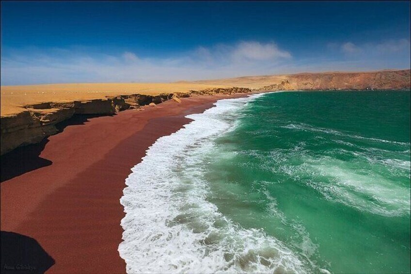 Paracas National Reserve