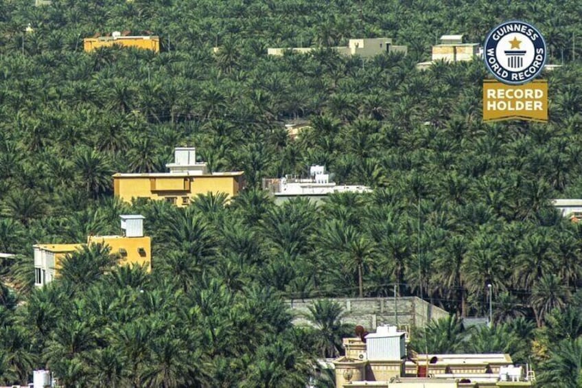 A tour in Al Ahsa the largest Oasis in the world