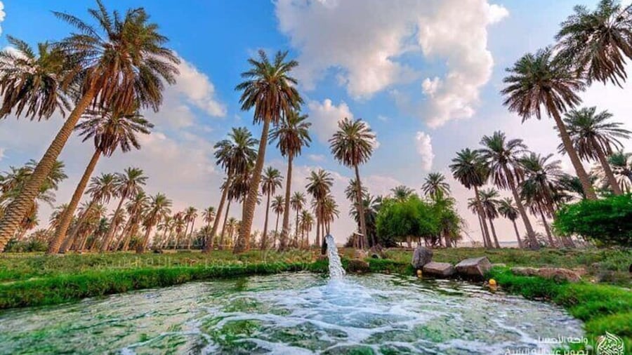 A tour in Al Ahsa the largest Oasis in the world