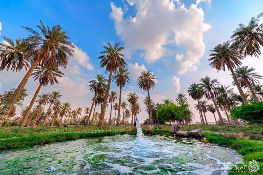 A tour in Al Ahsa the largest Oasis in the world