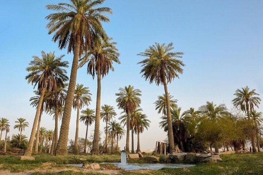 A tour in Al Ahsa the largest Oasis in the world