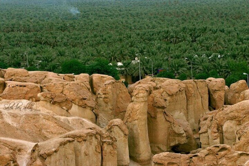 A tour in Al Ahsa the largest Oasis in the world