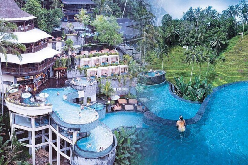 Best Jungle Pool Day Clubs in Ubud Tour