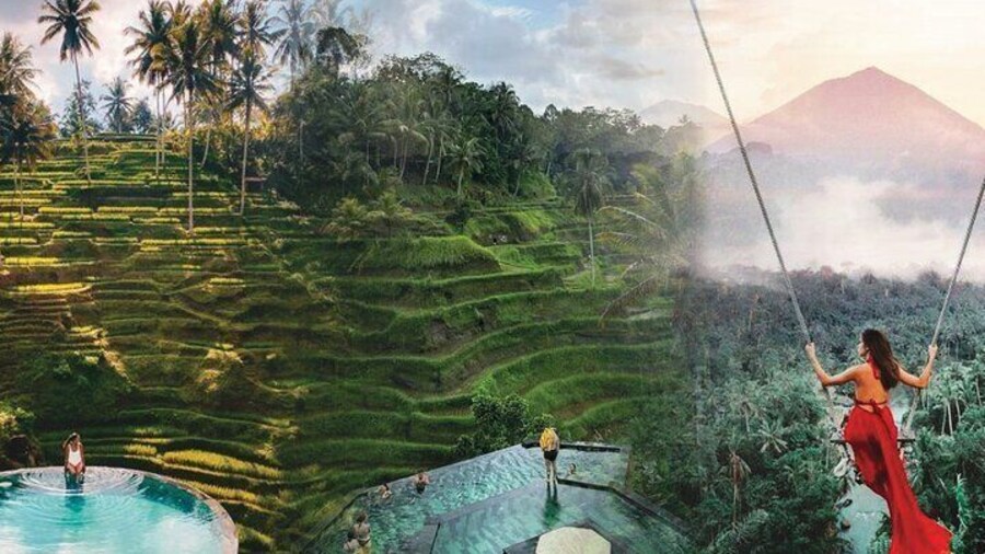 Best Jungle Pool Day Clubs in Ubud Tour