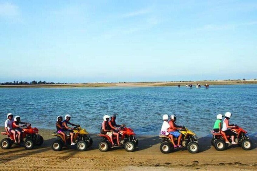 Private 3h30 quad ride on the island of Djerba