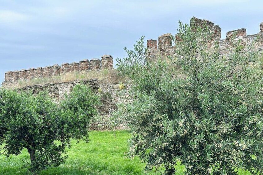 Thessaloniki Upper city Culture and Nature Herbal Walk 