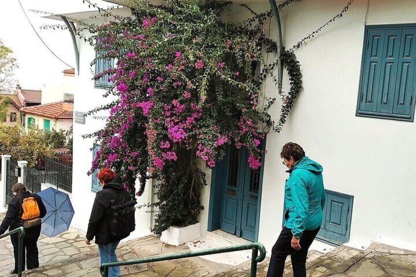 Thessaloniki Upper city Culture and Nature Herbal Walk 