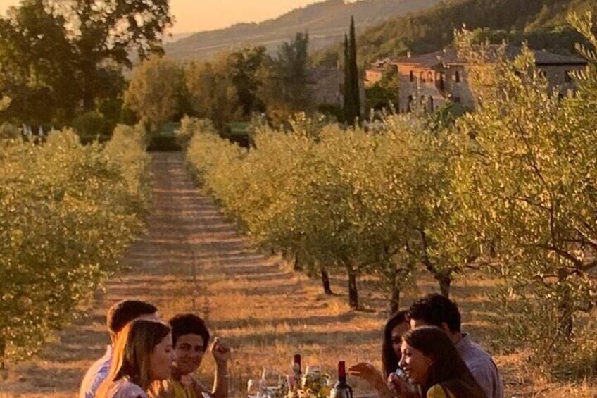 Basic private and guided tour on how quality EVO oil born in Tuscany