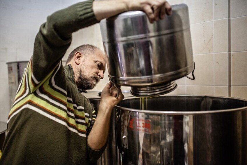 Basic private and guided tour on how quality EVO oil born in Tuscany